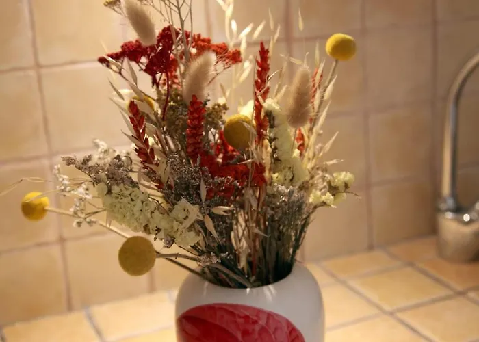 Miranda Holidays 公寓 莫诺波利